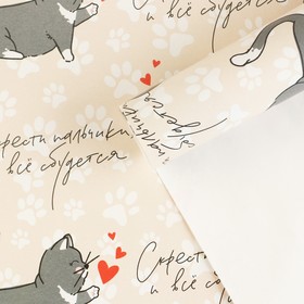 Бумага упаковочная глянцевая «Котики», 70 x 100 см
