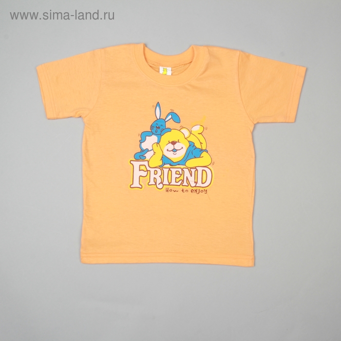 Детская футболка Bear, на 2,6-4 года (рост 98-110 см), цвета МИКС - Фото 1