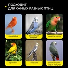 Кормушка для птиц внутренняя, 7.5×5.5×9 см - Фото 5