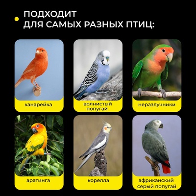 Кормушка для птиц, 7.5×5.5×9 см, внутренняя, пластик, белая