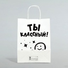 Пакет подарочный «Классный!», 24×14×28 см 7506210 - фото 16966380