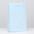 Пакет ламинированный, голубой, 26,5 х 16,5 х 7 см - фото 318729984