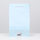 Пакет ламинированный, голубой, 26,5 х 16,5 х 7 см - Фото 2