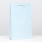 Пакет ламинированный, голубой, 40,5 х 24,8 х 9 см - фото 318729996