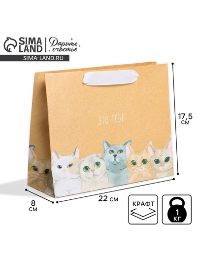 Пакет подарочный крафтовый, упаковка, «Тебе», 22 х 17.5 х 8 см