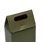 Коробка-пакет с ручкой, зеленая, 15 х 10 х 6 см 7348005 - фото 13642999