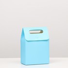Коробка-пакет с ручкой, голубая, 19 х 14 х 8 см - фото 318730276