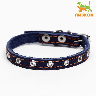 Ошейник кожаный однослойный, безразмерный, 37 х 1.5 см, ОШ 21-32 см, синий