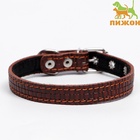 Ошейник кожаный с тиснением на синтепоне, 46×2 см, ОШ 25-35 см, коричневый - Фото 2