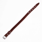 Ошейник кожаный с тиснением на синтепоне, 46×2 см, ОШ 25-35 см, коричневый - Фото 5