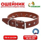 Ошейник кожаный «Строгий шип», 70×3.5 см, ОШ 45-60 см, коричневый - Фото 1