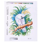 Канва для вышивания «Белый попугай» 40×50 см - Фото 1