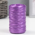 Пряжа "Для вязания мочалок" 100% полипропилен 400м/100±10 гр (набор 5 шт. цвет МИКС) - Фото 2