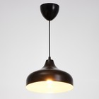 Светильник BayerLux 2515/1BK, 40ВТ Е27, цвет чёрный 7488052