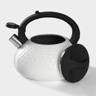 Чайник со свистком из нержавеющей стали Magistro Glow, 3 л, индукция, ручка soft-touch, цвет белый - фото 4340831