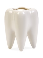 Декоративное кашпо для цветов «Зуб мудрости», 200 мл, 8.2×6.7×10 см, керамическое, белое - Фото 1