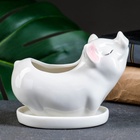 Декоративный горшок для цветов «Поросёнок», керамический, 150 мл, 12×6×10 см, с поддоном, белый, Greengo  (артикул 7314448)  большой выбор товаров оптом и в розницу по низким ценам с доставкой