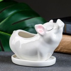 Декоративный горшок для цветов «Поросёнок», керамический, 150 мл, 12×6×10 см, с поддоном, белый, Greengo  (артикул 7314448)  большой выбор товаров оптом и в розницу по низким ценам с доставкой