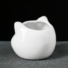 Горшок  "Голова поросенка" 9*9*7м - фото 40401789