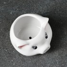 Горшок  "Голова поросенка" 9*9*7м - фото 40401790