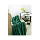 Плед Francesca, размер 150х200 см, цвет зеленый - фото 301394346