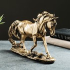 Фигура "Лошадь на камне" 29х9х23см бронза с позолотой - фото 299978955