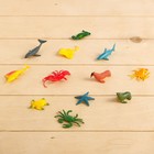 Развивающий набор «Подводный мир», в пакете - фото 24011980