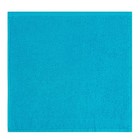 Салфетки махровые декоративные «Этель. Весеннее настроение», 3 шт., 30×30 см, голубые 7575189