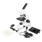 Микроскоп школьный Эврика 40×-1280х, LCD, цифровой - Фото 14