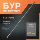 Бур по бетону ТУНДРА, двойная спираль, SDS-plus, 14×800 мм - Фото 1