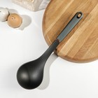 Половник Доляна «Сфера», нейлон, цвет чёрный - фото 24381149