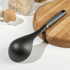 Половник Доляна «Сфера», нейлон, цвет чёрный - фото 24381150