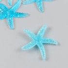Декор для творчества пластик "Голубая морская звезда" слюда 4х4 см (комплект 5 шт) - фото 23067024