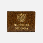 Обложка для зачётной книжки, цвет коричневый - фото 38265953