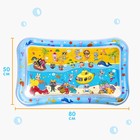 Акваковрик надувной развивающий водный «Дружилки», 80×50 см - Фото 3