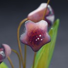 Цветы «Колокольчики», 5 цветков, 12х11 см - Фото 3
