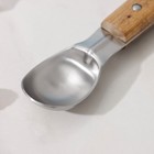 Ложка для мороженого Доляна «Дровосек», нержавеющая сталь, цвет хромированный - Фото 2