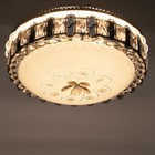 Люстра с ПДУ 1406/1 LED 80 Вт 3000-6000К черный 50×50×15 см BayerLux - фото 49296103