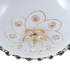 Люстра с ПДУ 1406/1 LED 80 Вт 3000-6000К черный 50×50×15 см BayerLux - фото 49296108