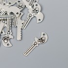 Декор для творчества металл "Ключ Череп с костями" серебро 2537M007 набор 24 шт 2,5х0,9 см - фото 9505234
