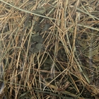 Сено луговое прессованное "Мышильд", 500 г - Фото 2