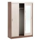 Шкаф – купе «Клик Мебель. Бася БШ – 1», 1400×570×2100 мм, цвет ясень шимо тёмный/светлый - Фото 3