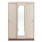 Шкаф – купе «Клик Мебель. Бася БШ – 1», 1400×570×2100 мм, цвет ясень шимо тёмный/светлый - Фото 4