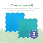 Модульный массажный коврик ОРТОДОН, набор «Чистюля», антибактериальный - Фото 5