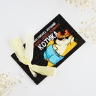 Чековая книжка желаний «Для любимого котика», 10 х 6 см - Фото 3