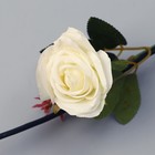 Декор тинги "Роза завиток" 150 см,(фасовка 5 шт, цена за 1шт) микс (комплект 5 шт) - фото 21442305