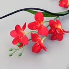 Декор тинги "Нарцисс" 150 см, микс - фото 21442317