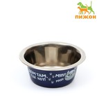 Миска стандартная Пижон «Дом там, где кот», 225 мл - Фото 1