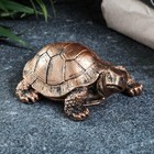 Фигура "Черепаха" бронза, 6х7х6см - фото 9507351