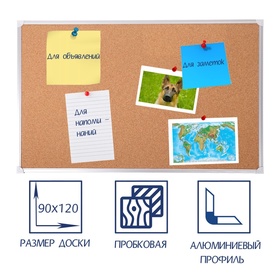 {{photo.Alt || photo.Description || 'УЦЕНКА Доска пробковая 90×120 см, Calligrata СТАНДАРТ, в алюминиевой рамке'}}